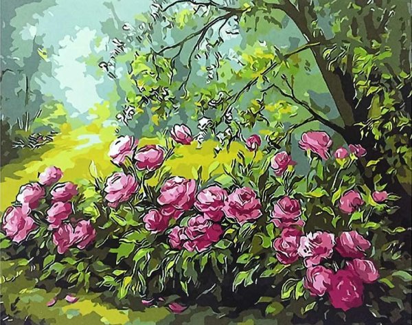 Анка Булгару (anca Bulgaru)