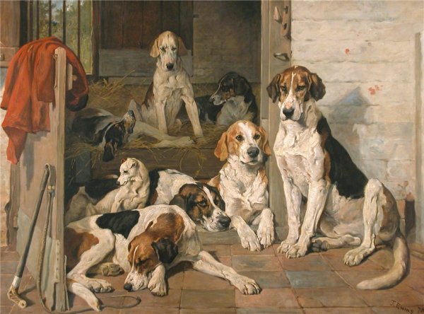 Фоксхаунды и терьер Джон Эммс