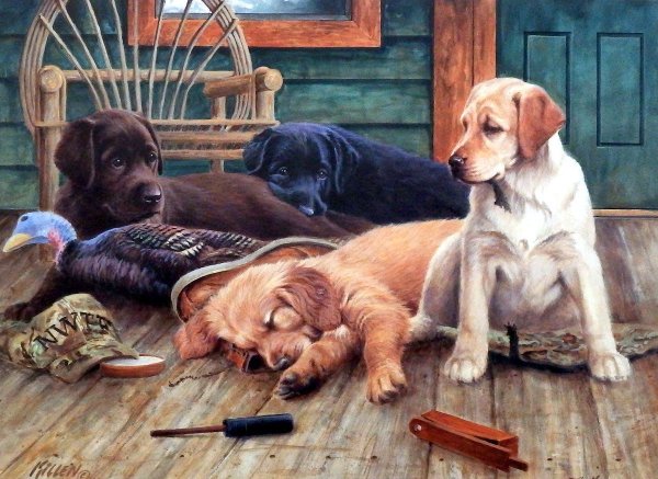 Джим Киллен собаки