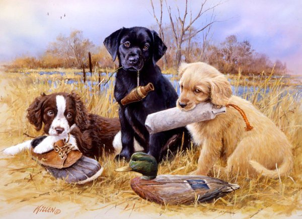 Jim killen художник