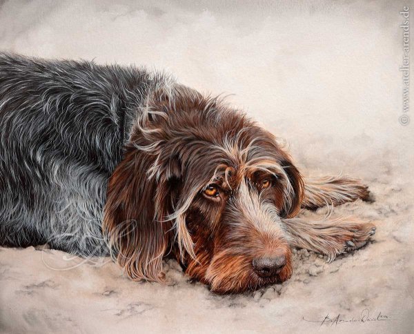 Дворняга живопись