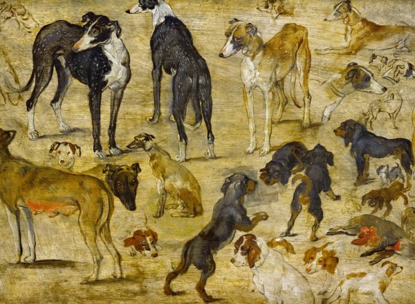 Брейгель старший собаки