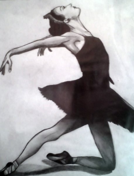 Борзые Плисецкая