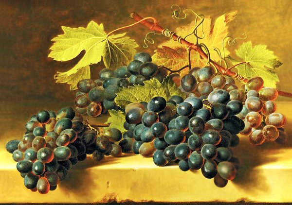 Виноград натюрморт Gerard van Spaendonck