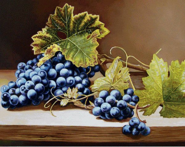 Натюрморт с виноградом