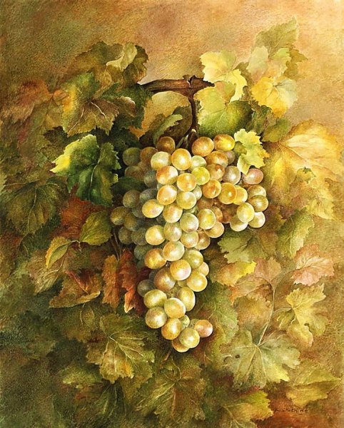 Брюллов Виноградная лоза живопись