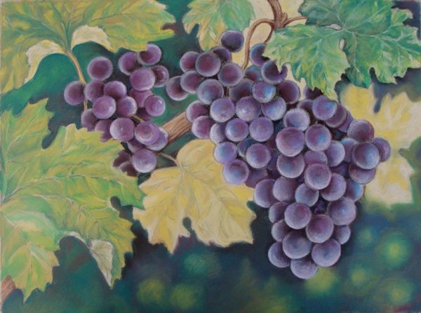 Картина Апеллеса виноград