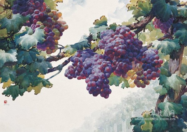 Виноград акварель картины Liu Wen Fu