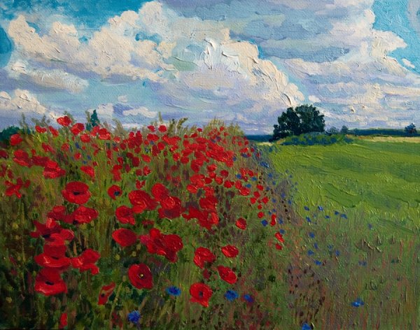 Маковое поле девушка