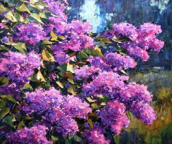 Куст сирени в цвету Ларионов