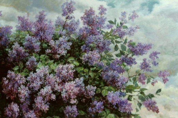 Сирень Васнецов