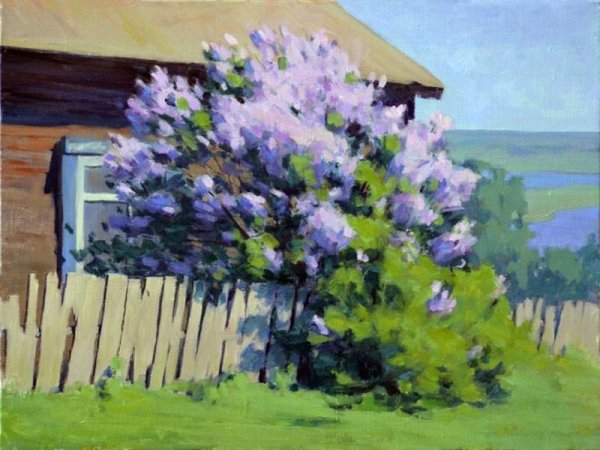 Егорнов сирень