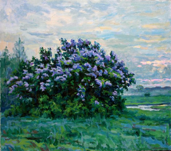 Лидия Лаворько Кузнецова сирень