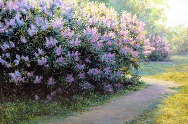 Вишняк Мария Владимировна сирень