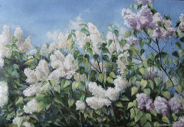 Алексей Корабельников художник сирень