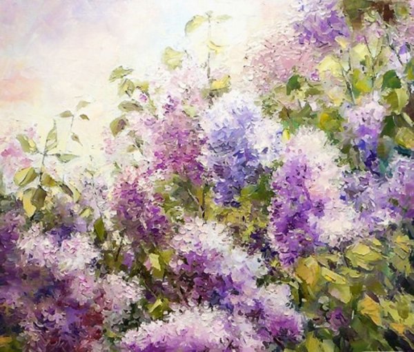 Олег Тимошин сирень