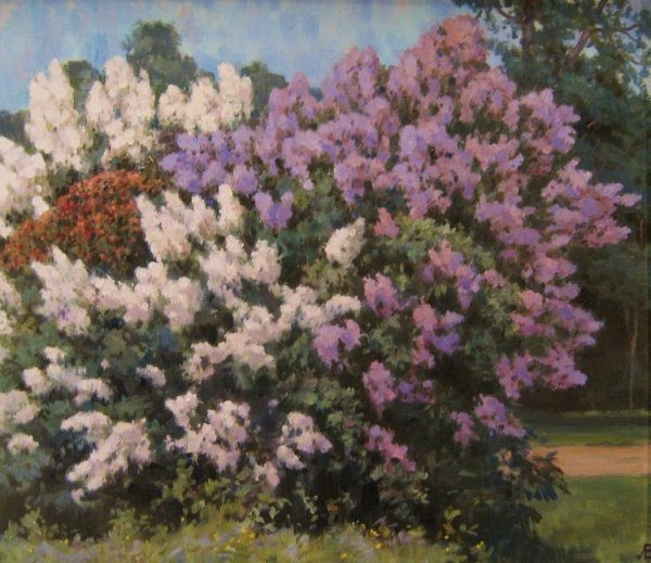Куст сирени живопись