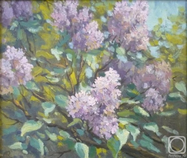 Ветка сирени картины художников