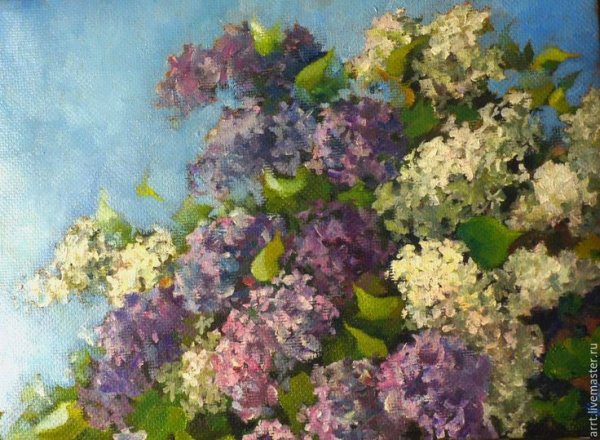 Куст сирени живопись масло