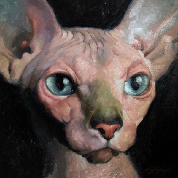 Картины Дженнифер ГЕННАРИ кошки