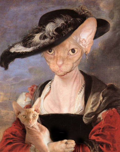 Кошка сфинкс в шляпе