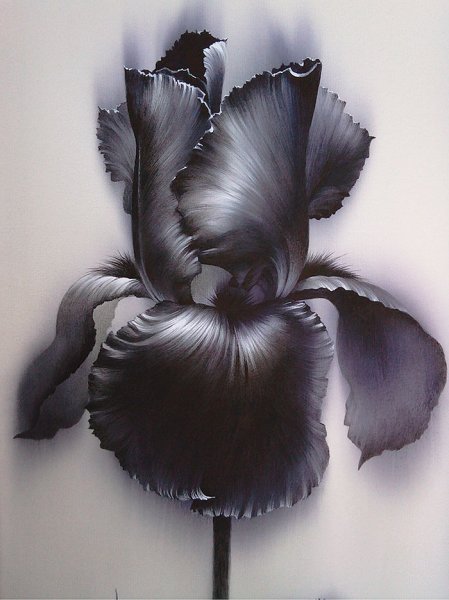 Алина Осеева живопись на шелке ирисы
