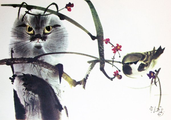 Иллюстрации Мирко Ханак птицы