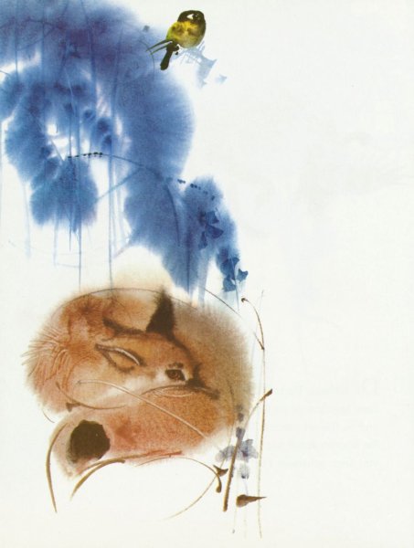 Мирко Ханак иллюстрации животные