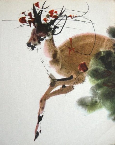 Рыба кои референс