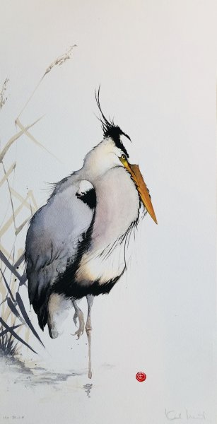 Мирко Ханак иллюстрации животные