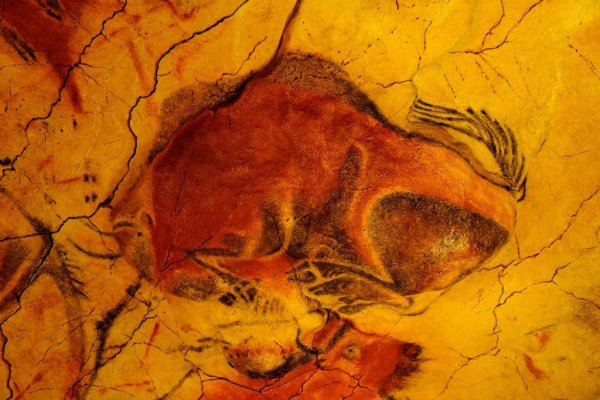 Бизон палеолит пещера Альтамира Испания