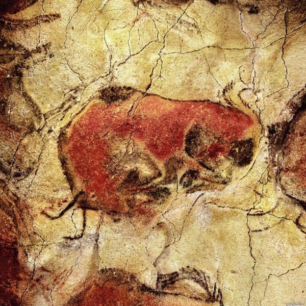 Бизон пещера Альтамира Испания