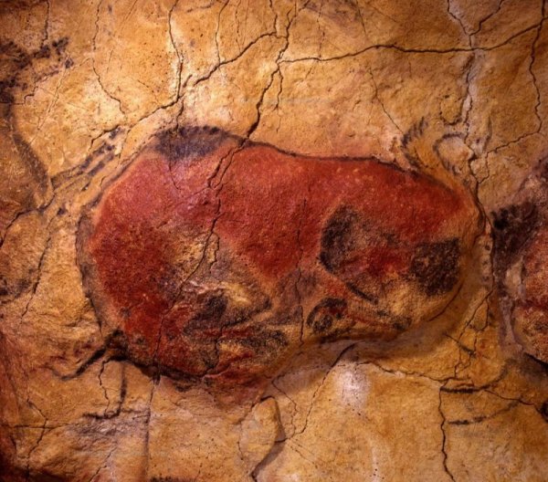 Бизон роспись пещеры Альтамира