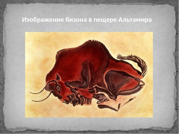 ЗУБР Пещерная живопись палеолит пещера Альтамира Испания