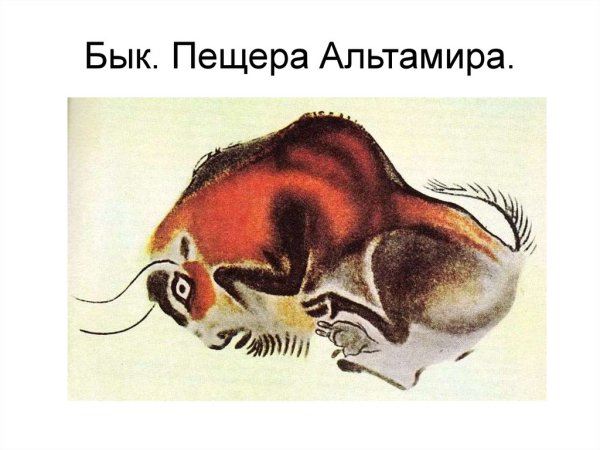 Бизон пещера Альтамира Испания