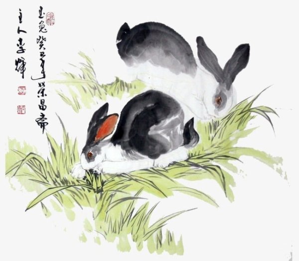 Китайский заяц