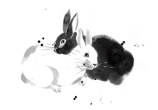 Кролик тушью