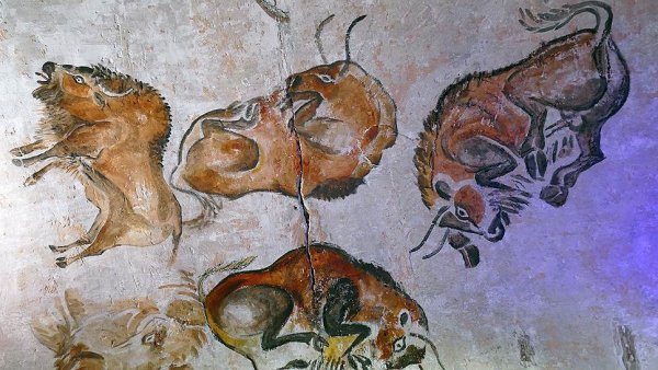 Стадо бизонов в пещере Альтамира