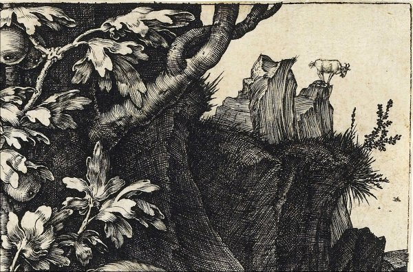 Гравюру Альбрехта Дюрера «Морское чудовище»