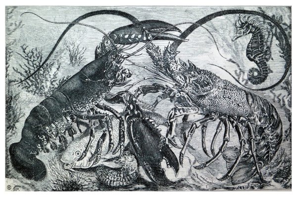 Офорт гравюра