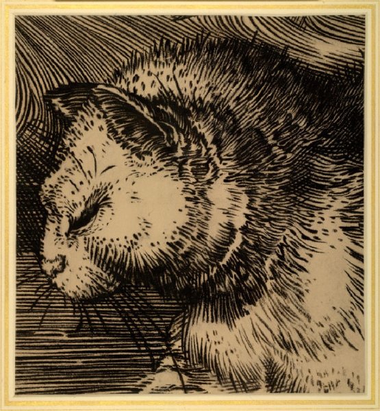 Дюрер Альбрехт гравюра кот