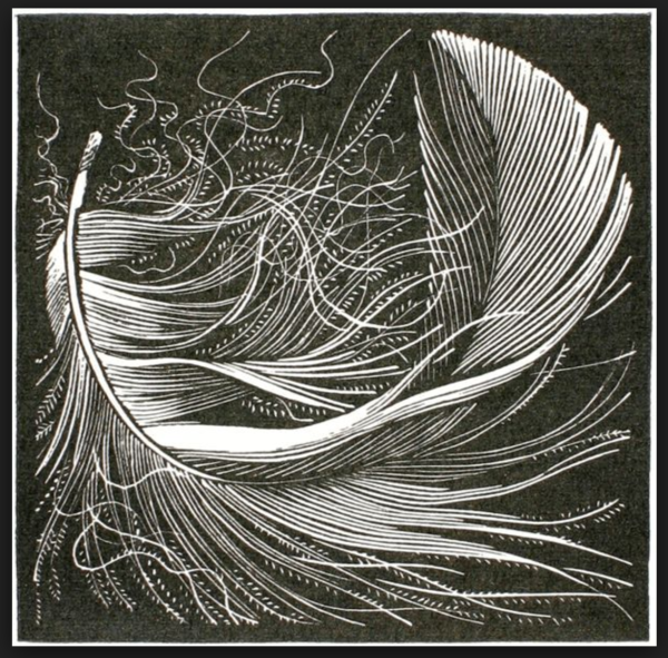 Линогравюра штрихи