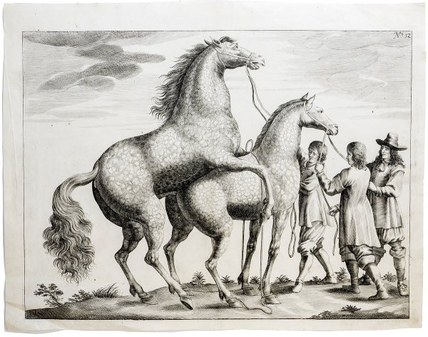 Гравюры 17 века