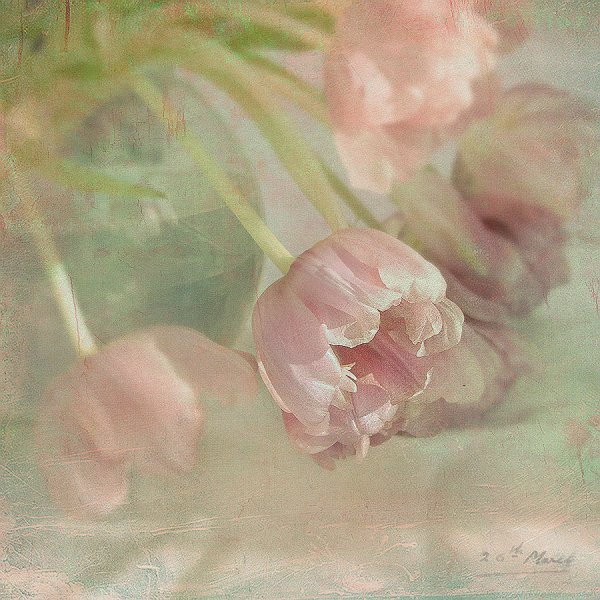 Ильяс Айдаров несущая Вдохновение