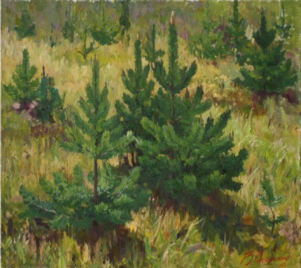 Шишкин этюды маслом сосна