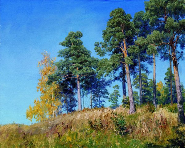 Путнин Олег Юрьевич