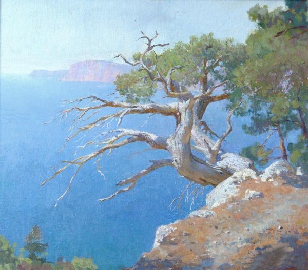 Шишкин сосна на скале