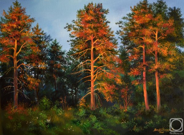 Сосна картина