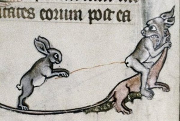 Заяц средневековье