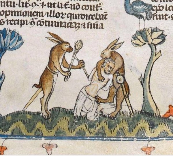Заяц средневековье